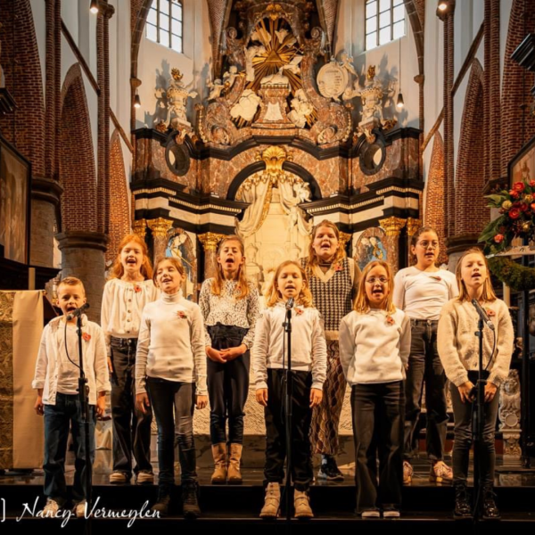 11 novemberviering